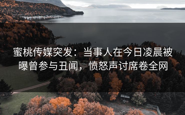 蜜桃传媒突发：当事人在今日凌晨被曝曾参与丑闻，愤怒声讨席卷全网