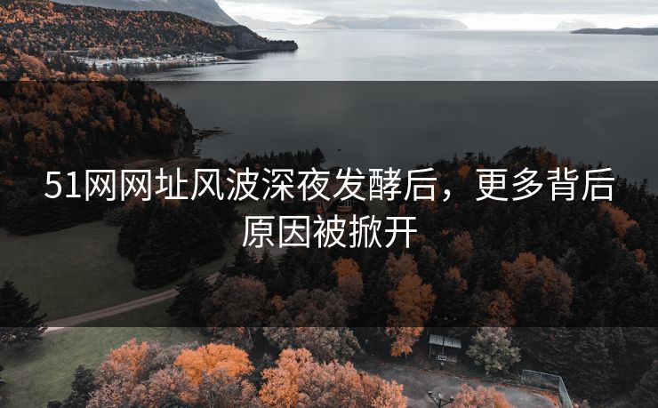 51网网址风波深夜发酵后，更多背后原因被掀开